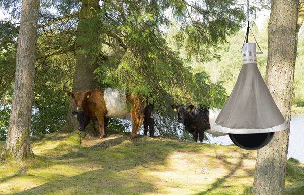 krávy s ochranou proti hmyzu