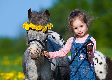Děti a (první) jízda na koni