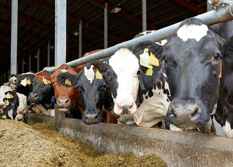 Stop šíření virového onemocnění