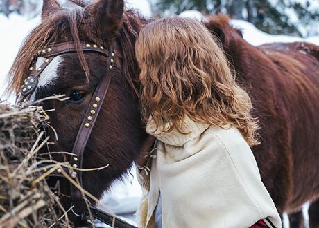 Čím krmit koně v zimě a kolik toho sní?
