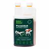 Root & Snoot Pulmoran dýchací cesty pro koně sirup 1 l