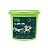 Root & Snoot Pulmoran dýchací cesty pro koně sypaná směs 1 kg