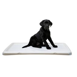 Toaleta pro štěňata, 60 x 90 cm, béžová