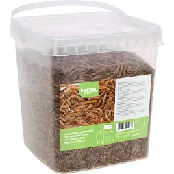 Sušení mouční červi 900 g