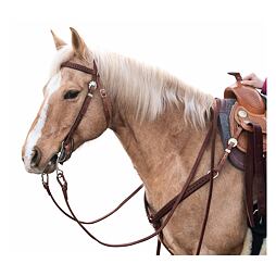 Westernová uzdečka Passion 4Q Lacing, hnědá