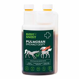 Root & Snoot Pulmoran dýchací cesty pro koně sirup 1 l