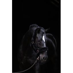 Ohlávka nylonová s beránkem Covalliero SuperSoft, černá