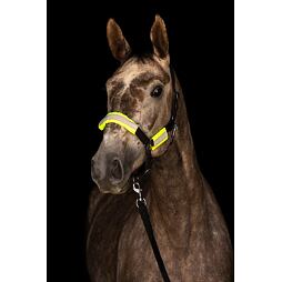 Reflexní sada na ohlávku, uzdečku Covalliero