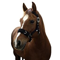 Lonžovací ohlávka Covalliero