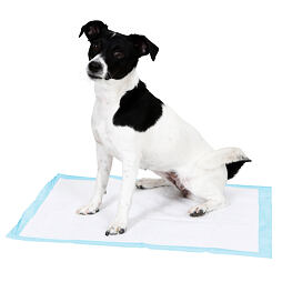 Tréninkové absorpční podložky pro psy