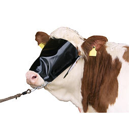 Zástěrka na hlavu pro skot, nylon+ohlávka+řetěz