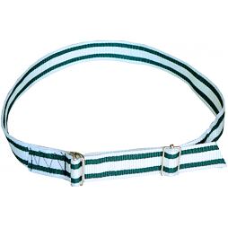 Krční řemen s kovovou sponou 130 cm, zelenobílá