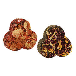 Clover Leaves pamlsek pro králíky, 2ks/bal, 70 g