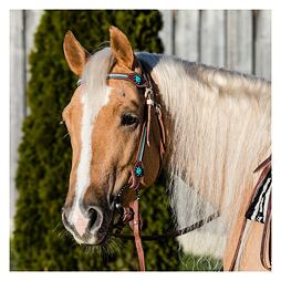 Uzdečka westernová LproWest Nashville