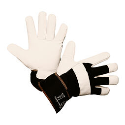 Zimní rukavice Arktic