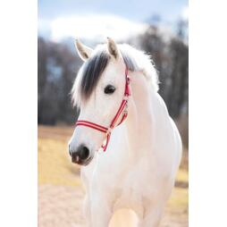 Ohlávka nylonová Covalliero Covalliero Hippo, bordo/béžová