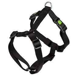 Postroj Miami pro psy, černý