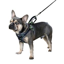 Bezpečnostní postroj pro psy Harness, černý
