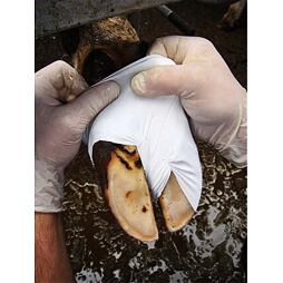 Bandáž na paznechty Hoof Sock malá