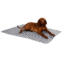 Fleecová deka pro psy Stella, 140 x 100 cm, šedá s hvězdami