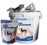 Calf VOLOSTRUM