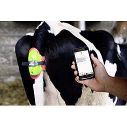 MOOCALL alarm pro krávy