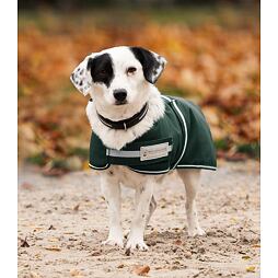 Nepromokavá deka pro psy WALDHAUSEN, fleece, zelená