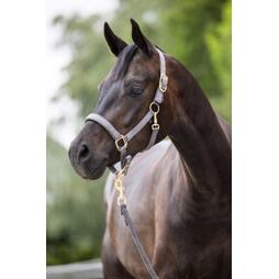 Ohlávka nylonová Covalliero Classy, šedá