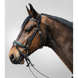 Kožená uzdečka STAR Diamant, zelená, vel. Shetty