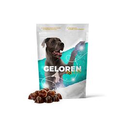 Kloubní výživa Geloren Dog L-XL 420g