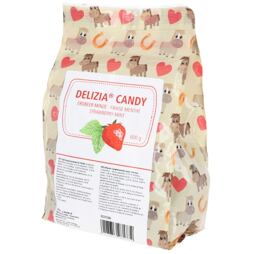 Pochoutka pro koně Delizia® jahoda/máta 600g