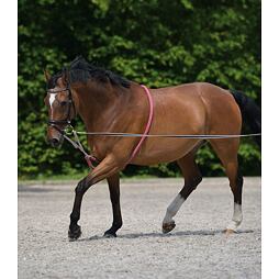 Lonžovací postroj Waldhausen, vel. Full