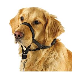 Ohlávka proti tahání pro psy MAXI COACH, 38cm, černá