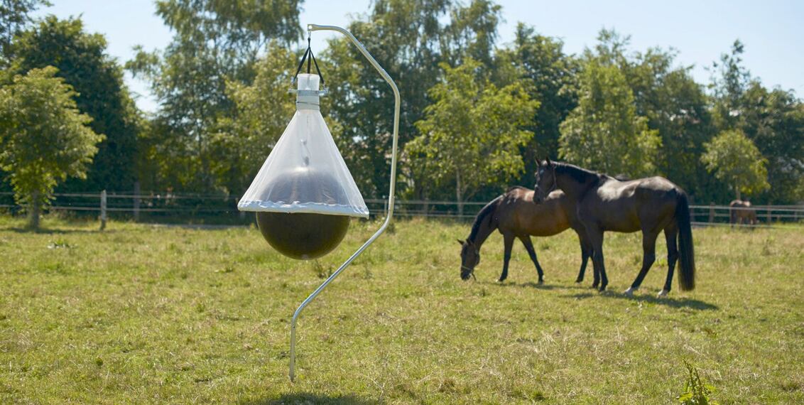 Zbavte se hmyzu na pastvině, zahradě i v kempu jednou provždy