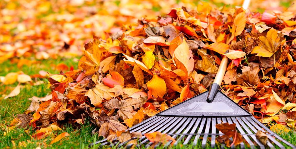 Podzimní práce na zahradě - návrat k přírodě a příprava na zimu