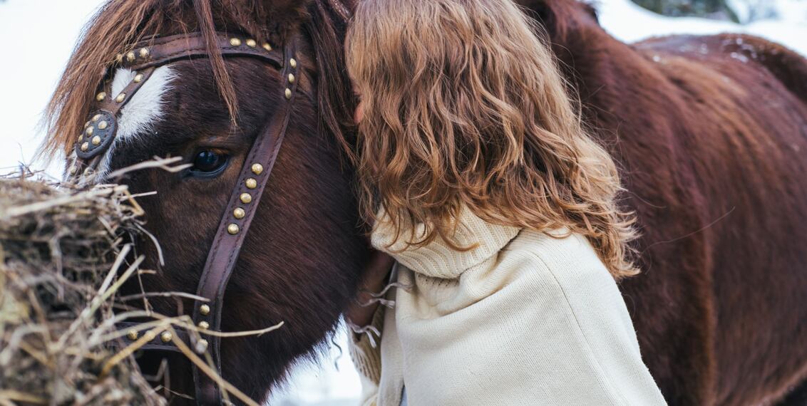 Čím krmit koně v zimě a kolik toho sní?