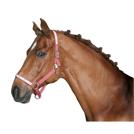 Gumičky do hřívy bílé 800ks/bal