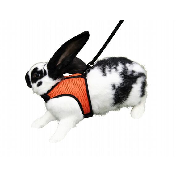 Postroj pro králíky a hlodavce SPORT s vodítkem, 120 cm