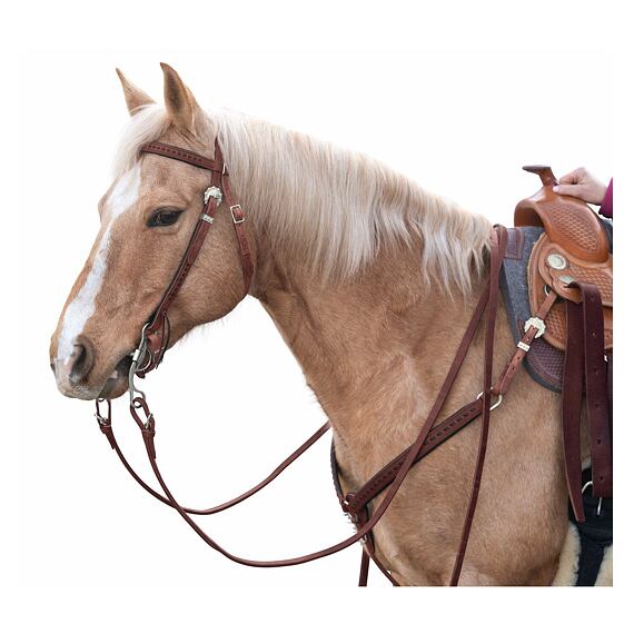 Westernová uzdečka Passion 4Q Lacing, hnědá