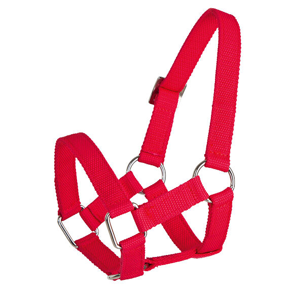 Ohlávka pro ovce, červená, polypropylen