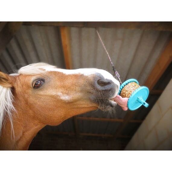 Pamlsek pro koně LIKIT Granola, jablko, 550 g