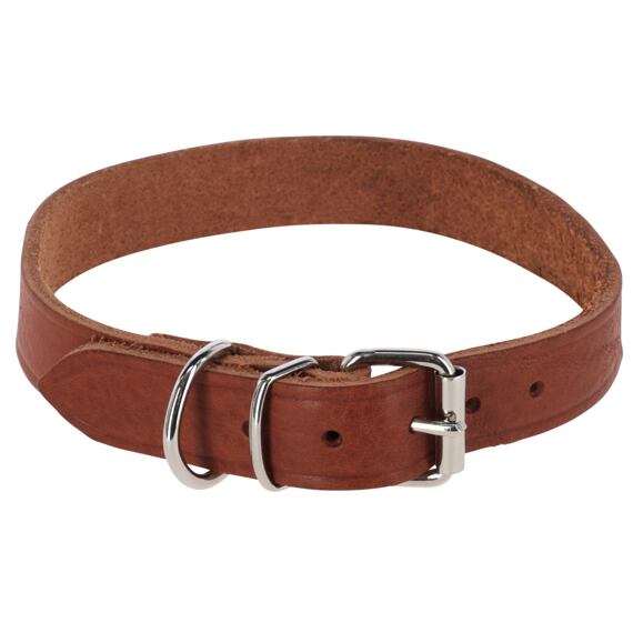 Obojek pro psy Tuscany, hnědý