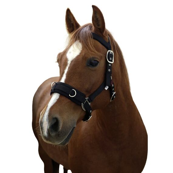 Lonžovací ohlávka Covalliero