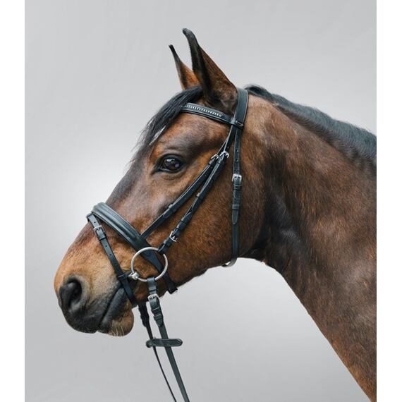 Kožená uzdečka STAR Diamant, černá, vel. Shetty