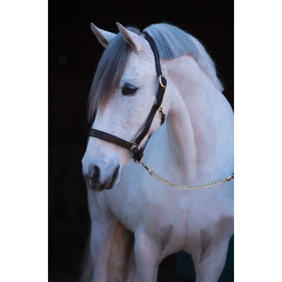 Ohlávka kožená Covalliero Eco, černá