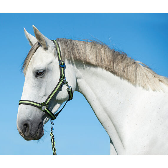 Ohlávka nylonová Covalliero Hippo, antracitová/limetková