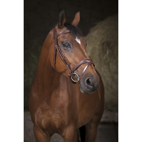 Uzdečka kožená Norton Pro Vaque, hnědá