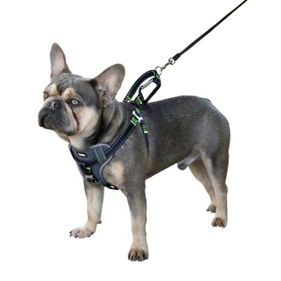 Bezpečnostní postroj pro psy Harness, černý