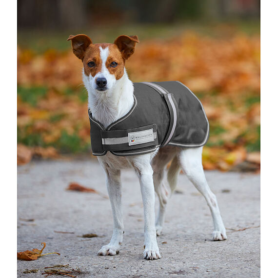 Outdoorová deka pro psa Waldhausen Comfort Line, 200 g, barva: šedá