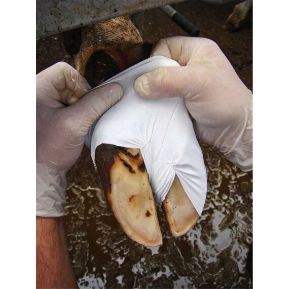 Bandáž na paznechty Hoof Sock malá